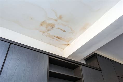 What To Do If Water Is Leaking Through Your Ceiling: Step-By-Step Instructions