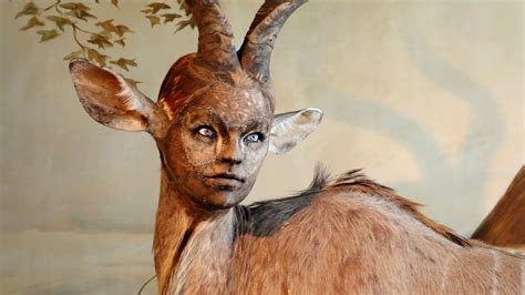 Human-Looking Faces on Animal Bodies: Taxidermy as Art