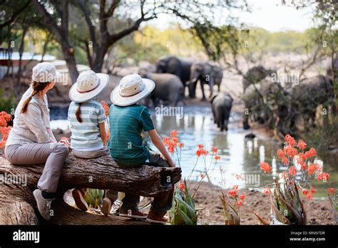 Family of mother and kids on African safari vacation enjoying wildlife viewing at watering hole ...