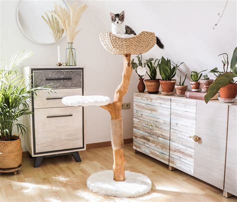 Cat Tree Tower Modern Single Branch Cat Condo Wood Cat Tree - Etsy Canada