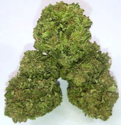 Scooby Snacks Strain Information | Cannafo | Marijuana | Cannabis | Cannafo.com