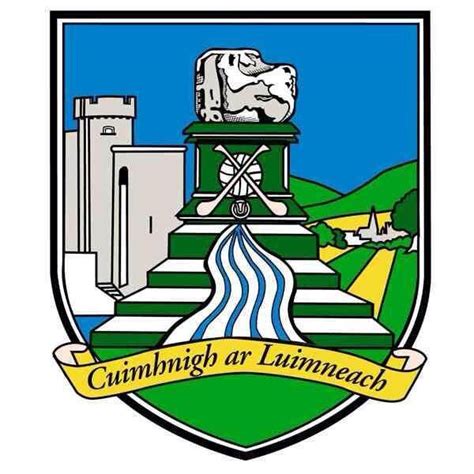 Limerick win all Ireland 3-16 to Galway 2-15. Luimneach Abú! | Limerick city, Limerick, Ireland