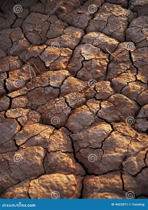 Rupture ground stock image. Image of ground, rain, soil - 4422871