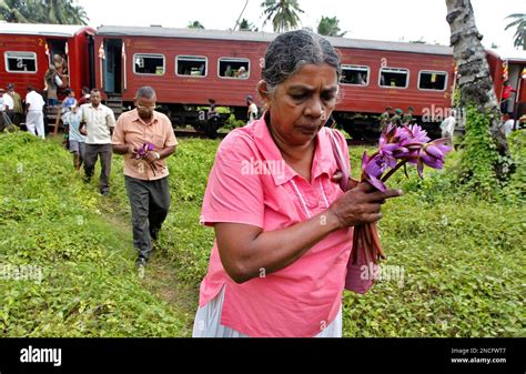 Sri Lankan tsunami survivors carry flowers to place in the memory of ...