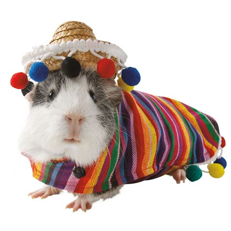 Guinea pig costume Pet Clothing, Accessories & Shoes Pet Supplies ...