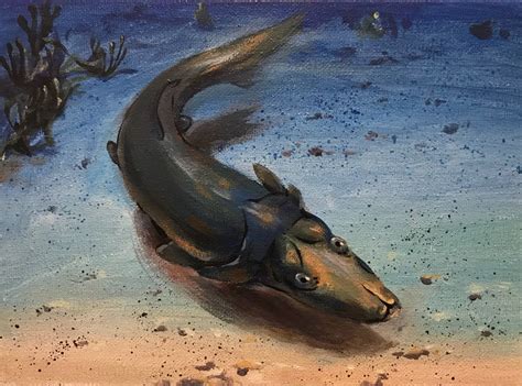 Remarkable Fossil of Strange Platypus-like Armored Fish Discovered ...