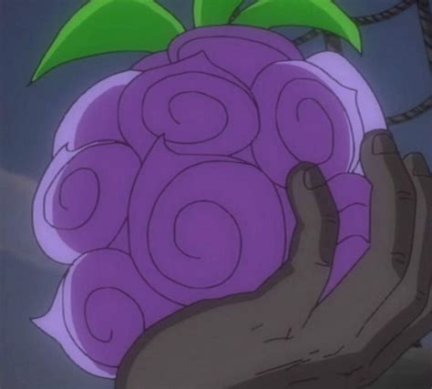 Devil Fruit Information and Top Five Devil Fruits | Anime Amino