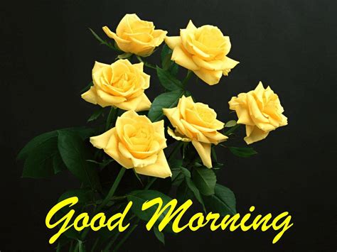 Download Good Morning HD With Yellow Roses Wallpaper | Wallpapers.com