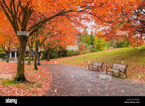 Walking and Biking Park Trails in Portland Oregon Downtown Waterfront ...