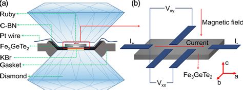 (a) Schematic of a high-pressure diamond anvil cell... | Download ...