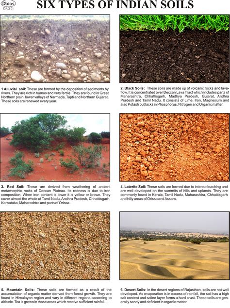 DAG 01 Types of Soil | Dbios Charts