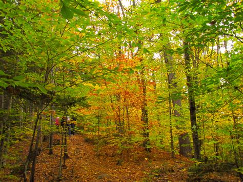 Fall colors | Moultonborough, NH | quiggyt4 | Flickr