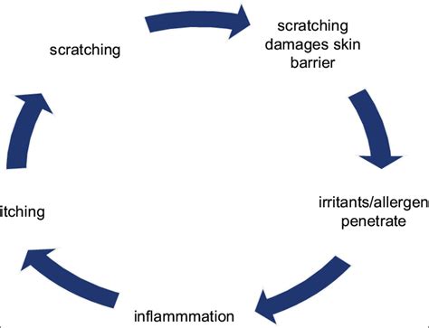 Itch-scratch-itch cycle. | Download Scientific Diagram