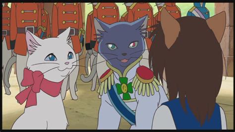 The Cat Returns - Studio Ghibli Image (25665136) - Fanpop