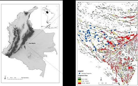 Locations of fragments sampled in the San Martin area, Colombia (total... | Download Scientific ...