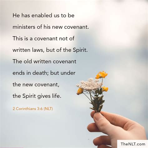 2 Corinthians 3:6 NLT | Scripture quotes bible, The covenant, Christian ...