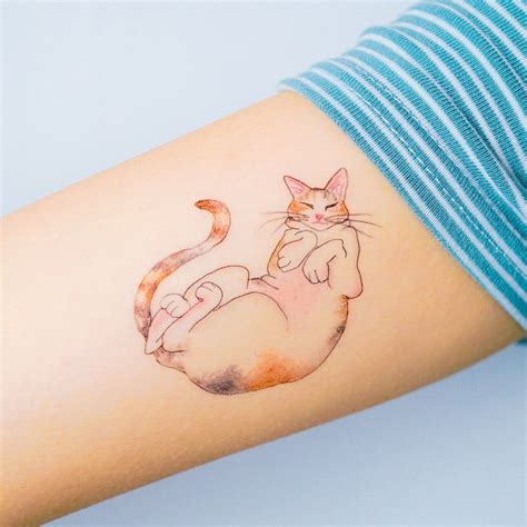 Sleepy Calico Cat Tattoo in 2022 | Cat tattoo, Calico cat, Kitten tattoo