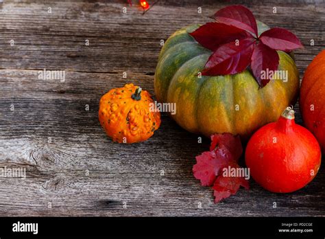 Fall harvest of pumpkins Stock Photo - Alamy