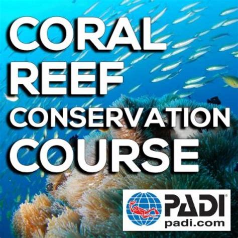 Coral Reef Conservation