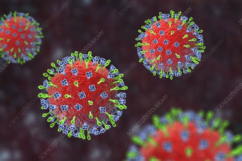 Hendra virus, illustration - Stock Image - F033/0112 - Science Photo ...