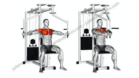 How to correctly perform the butterfly muscle exercise?