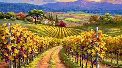 Vineyard Wallpaper (69+ images)