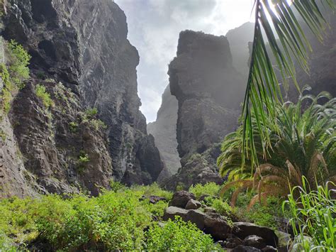 Barranco de Masca, reapertura de un sendero espectacular de Tenerife