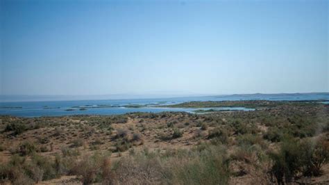 Premium Photo | Dry plants in the desert river