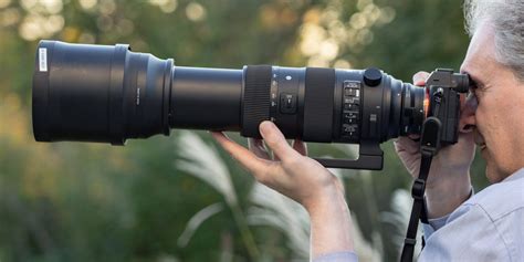 Sigma 150-600 Sport REVIEW Vs Sony 200-600 The Best, 54% OFF