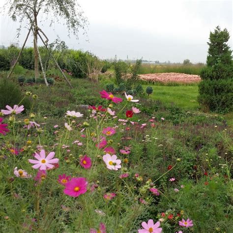 NATIONAL WETLAND PARK (Zhangye): All You Need to Know