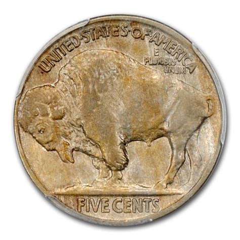 Buy 1916 Buffalo Nickel AU-55 PCGS (Doubled Die Obverse) | APMEX