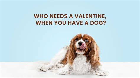 60+ Adorable Dog Valentine Quotes to show off your love