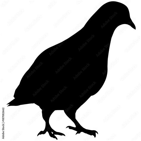 Pigeon Silhouette Vector Graphics Stock Vector | Adobe Stock