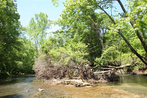 Discovering Jackson County : Float the Paint Rock River