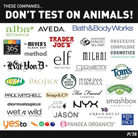 Cruelty free makeup these brands don t test on animals – Artofit