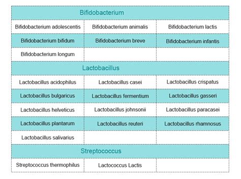 LACTOBACILLUS BULGARICUS