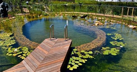 Natural pools design ideas – a swimming pond without chemicals