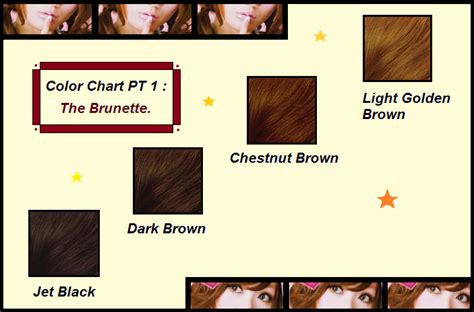 Hair Color Chart : Brunette 1 by eveningstarzz on DeviantArt