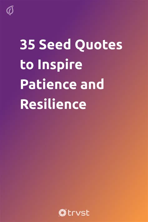 the words 35 seed quotes to inspire patient and resilince