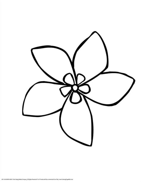 Easy Flowers Drawing | Easy flower drawings, Pretty flower drawing, Flower drawing