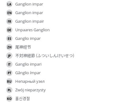 Ganglion impar - e-Anatomy - IMAIOS