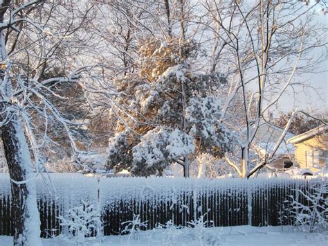 A Year After Blizzard, Lessons Learned | Toms River, NJ Patch