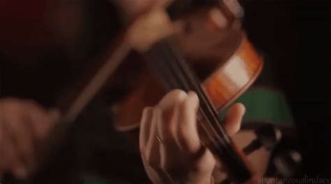 Violon GIF - Violon Violin - Discover & Share GIFs