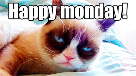 Happy Monday GIFs - 58 Funny Animated Images For Free | USAGIF.com