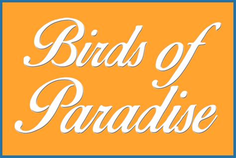 Birds of Paradise Font | Herofonts | FontSpace