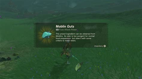 How To Farm Zelda TOTK Moblins To Farm Horns, Guts & Fangs