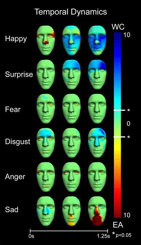 Facial Expressions Chart Psychology