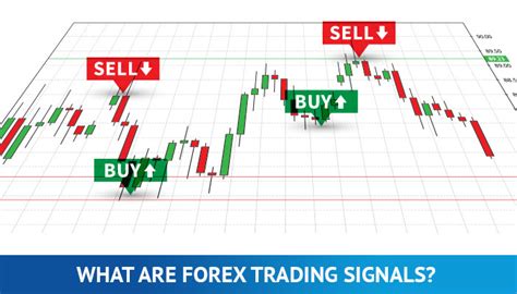 Are Free Forex Signals Reliable? | Trading Education