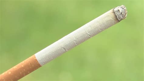 Burning Cigarette Stock Footage Video 434467 - Shutterstock