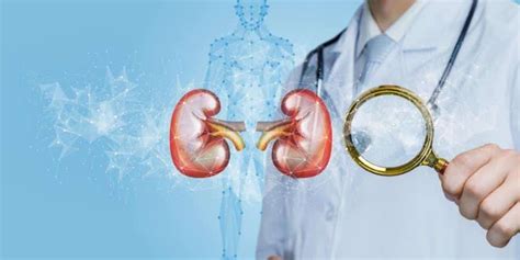 New Kidney Disease Treatment: KidneyCure Raises $4m